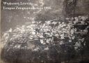 enoria_Zournatsanton_1905.jpg